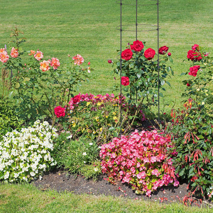 2x Tuteurs pour plantes avec anneaux, 120 cm