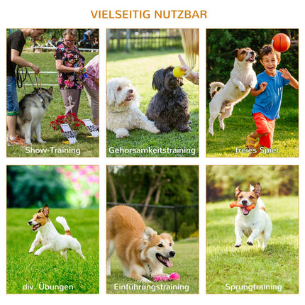 Hund Agility Trainingsset, 3-teilig, leicht zu transportieren