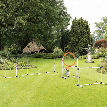 Hund Agility Trainingsset, 3-teilig, leicht zu transportieren