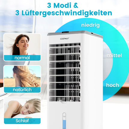 3-in-1 Verdunstungs-Luftkühler mit Timer und Fernbedienung, Grau