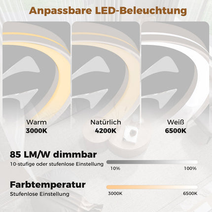 Ventilateur de plafond 48 cm avec lumière, réversible, LED à intensité variable