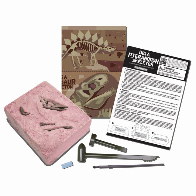 4M Bastelset "Grabe ein Pteranodon-Skelett aus"