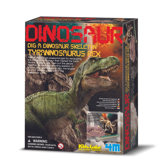 4M Bastelset "Grabe einen T-Rex aus"