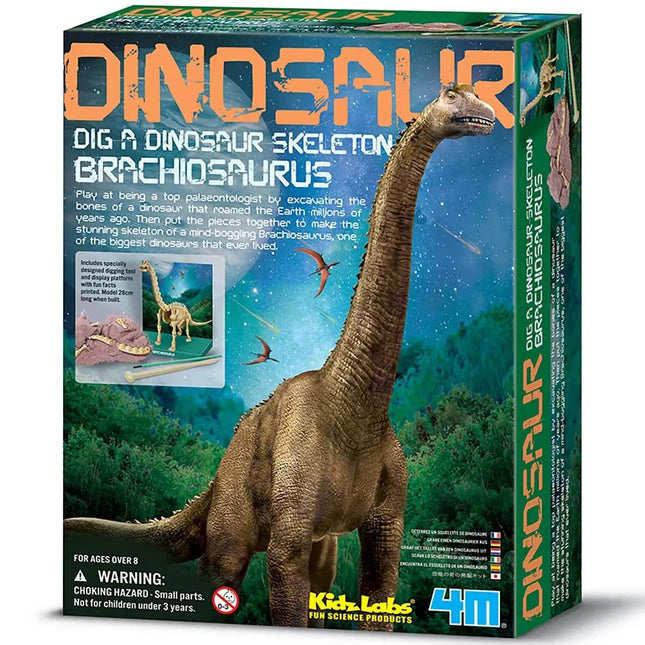 4M Kidzlabs Bastelset "Brachiosaurus Skelett"