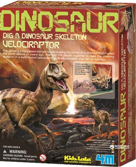 4M Kidzlabs Bastelset Velociraptor Skelett
