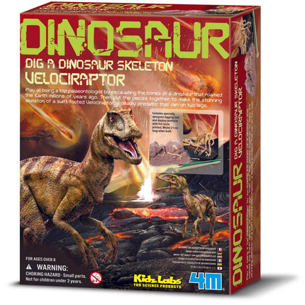 Kit d'artisanat 4M Kidzlabs Squelette de vélociraptor