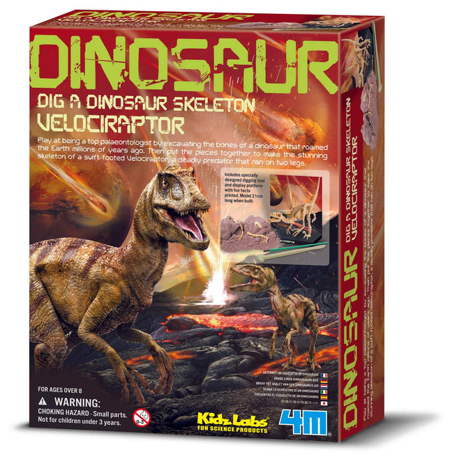 4M Kidzlabs Bastelset Velociraptor Skelett