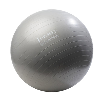 55cm Graphit-Gymnastikball – Anti-Burst-Stabilitätsball