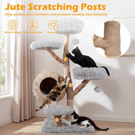 Arbre à chat en bois gris à 5 niveaux avec perchoirs moelleux et poteaux en jute
