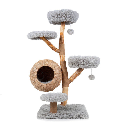 Arbre à chat en bois gris à 5 niveaux avec perchoirs moelleux et poteaux en jute