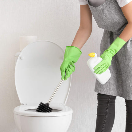 5 brosses de toilettes de remplacement