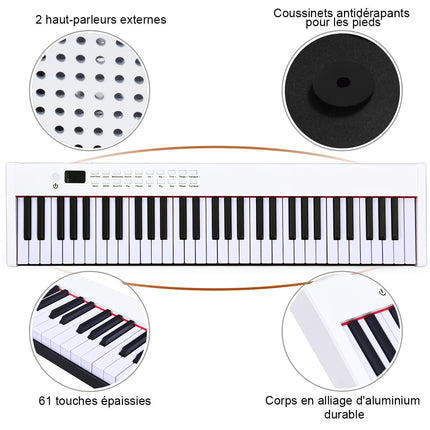 61-Tasten Digitalpiano/Keyboard mit Koffer, gewichtete Tasten