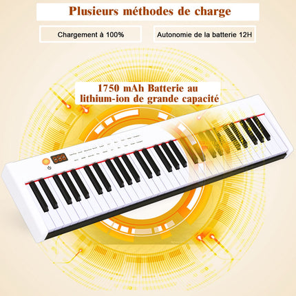 61-Tasten Digitalpiano/Keyboard mit Koffer, gewichtete Tasten