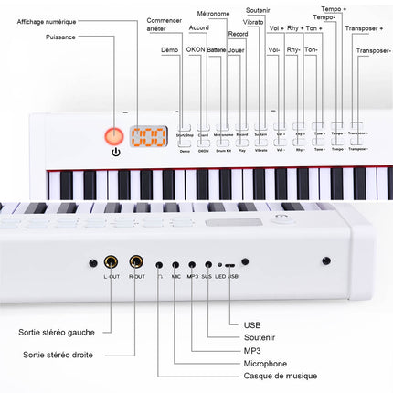 61-Tasten Digitalpiano/Keyboard mit Koffer, gewichtete Tasten
