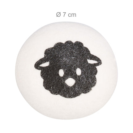 6x balles de séchage