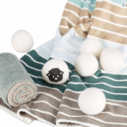 6x balles de séchage