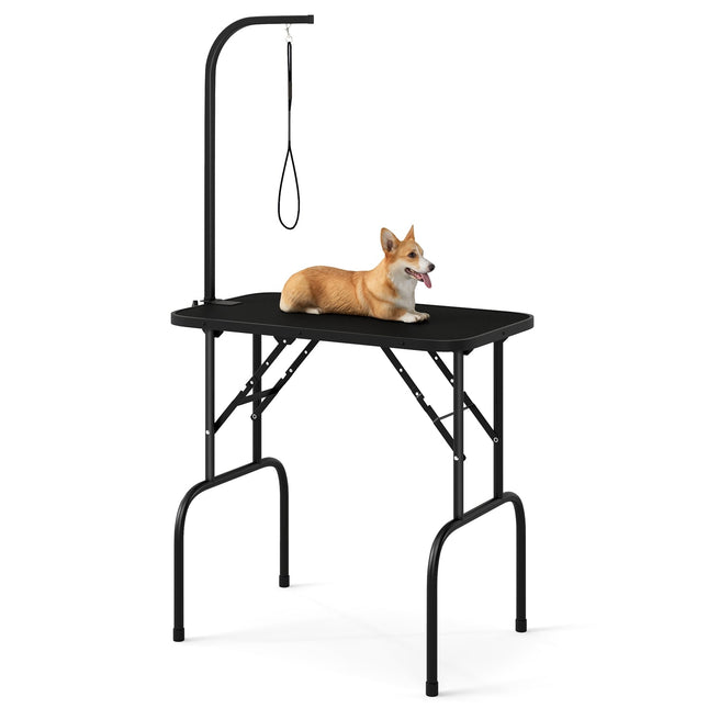 Table de toilettage réglable pour animaux, pliable, surface antidérapante