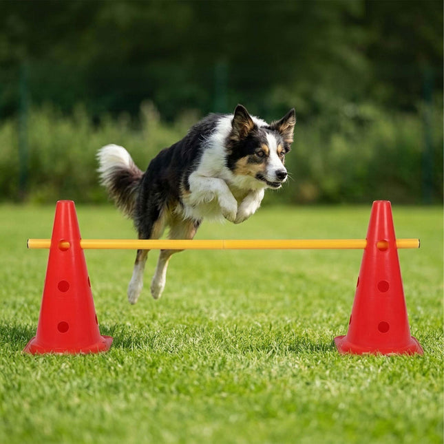 Agility-Hürdenset mit 12 Kegeln und 6 verstellbaren Stangen