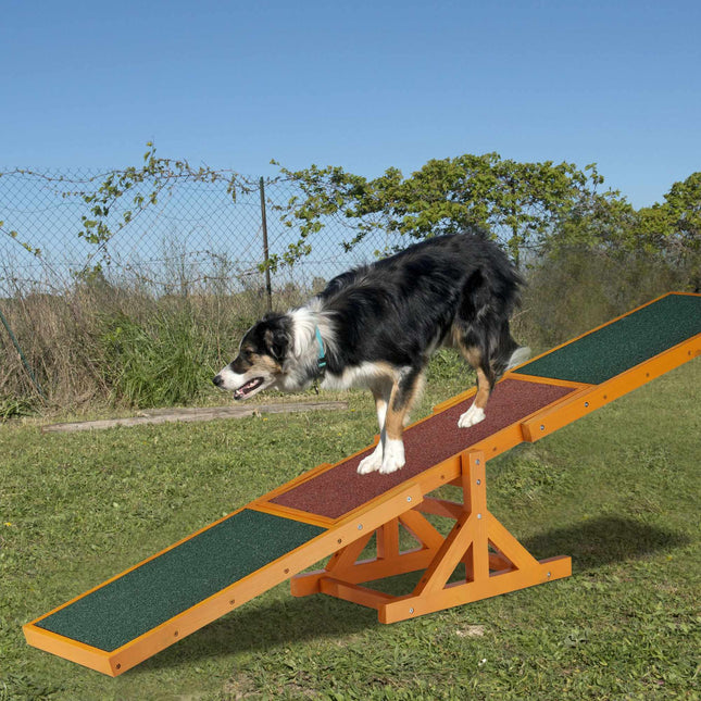 Agility pour chiens Seesaw