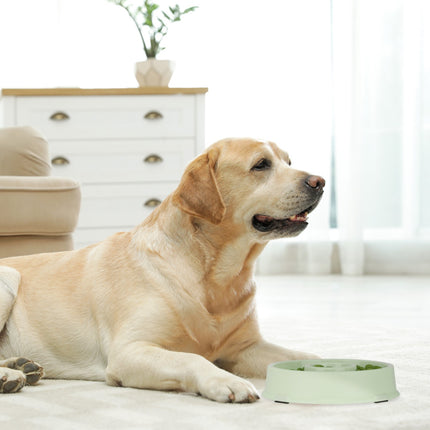 Anti-Schleuder-Schüssel 500 ml
