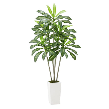 Artificial Dracaena Tree 6 ft, White Tall Planter