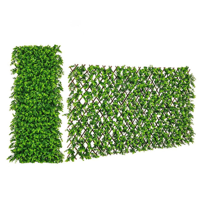 Haies murales de plantes d'intimité de jardin de lierre artificiel avec eucalyptus vert