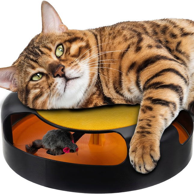 Un jouet pour un chat - une roue avec une souris