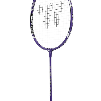 Ensemble de raquettes de badminton, 2 raquettes, 3 volants, filet