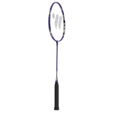 Ensemble de raquettes de badminton, 2 raquettes, 3 volants, filet