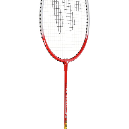 Ensemble de badminton - 2 raquettes, volants inclus