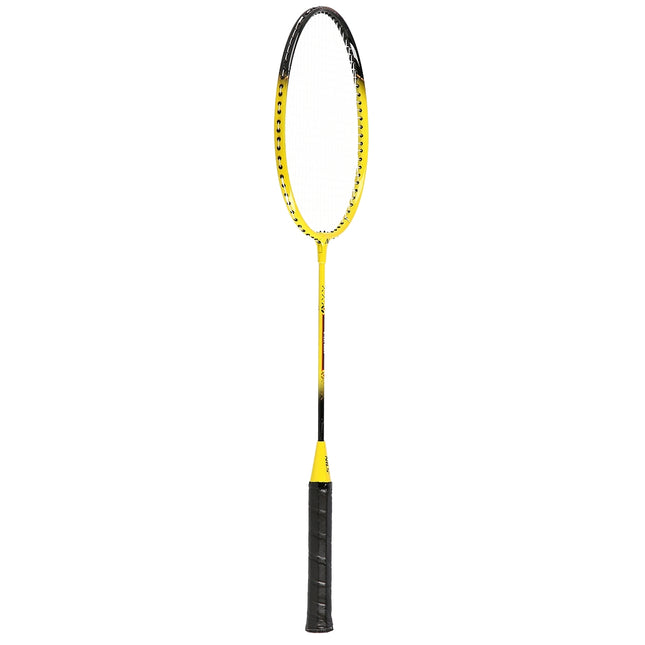 Badminton-Set mit 2 Schlägern, 3 Federbällen, Netz & Abdeckung