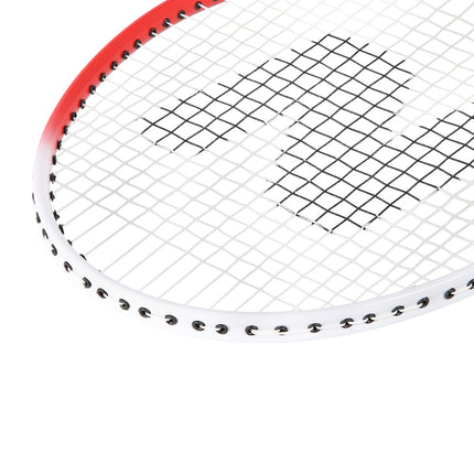 Badminton-Set mit Aluminiumschlägern und Hülle