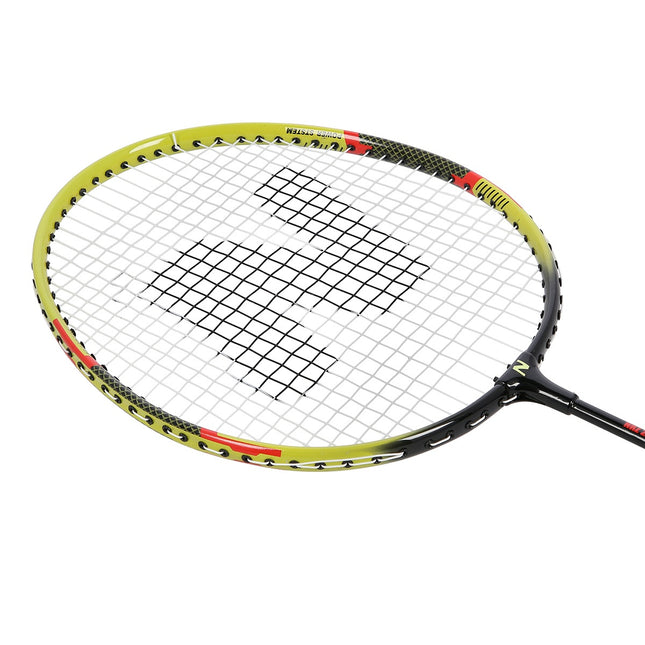 Ensemble de badminton avec housse, construction en aluminium