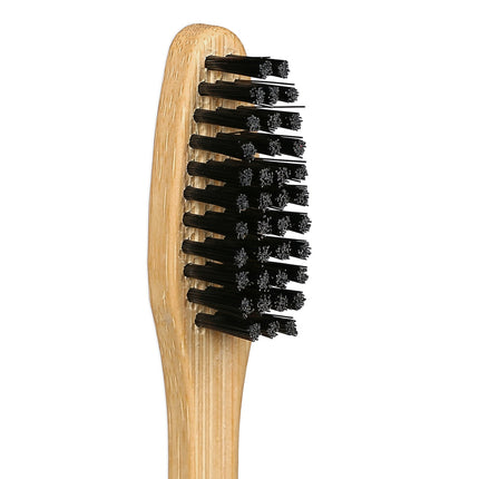 Brosses à dents en bambou, lot de 24