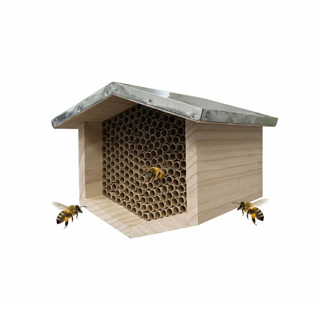 Hôtel à abeilles avec toit métallique pour abeilles sauvages