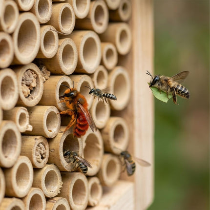 Hôtel à abeilles avec toit métallique pour abeilles sauvages
