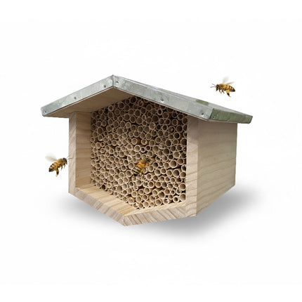 Hôtel à abeilles avec toit métallique pour abeilles sauvages