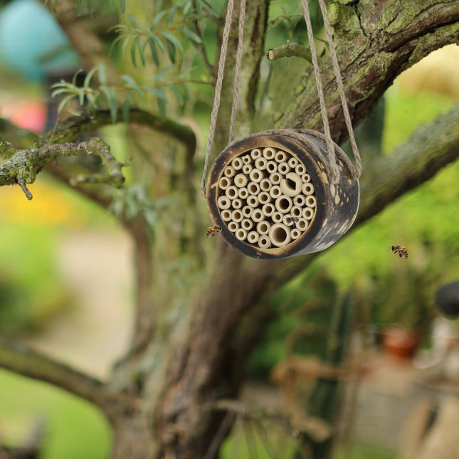 Bienenhotel für Wildbienen