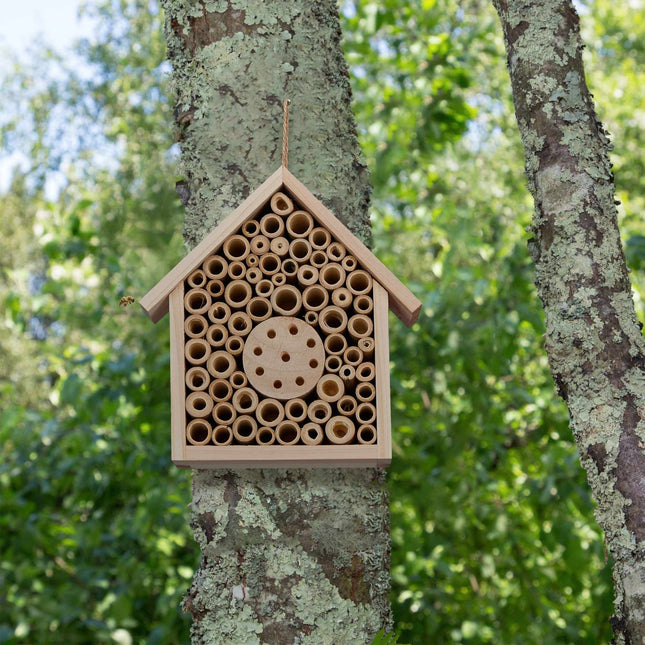 Hôtel à abeilles en bois non traité