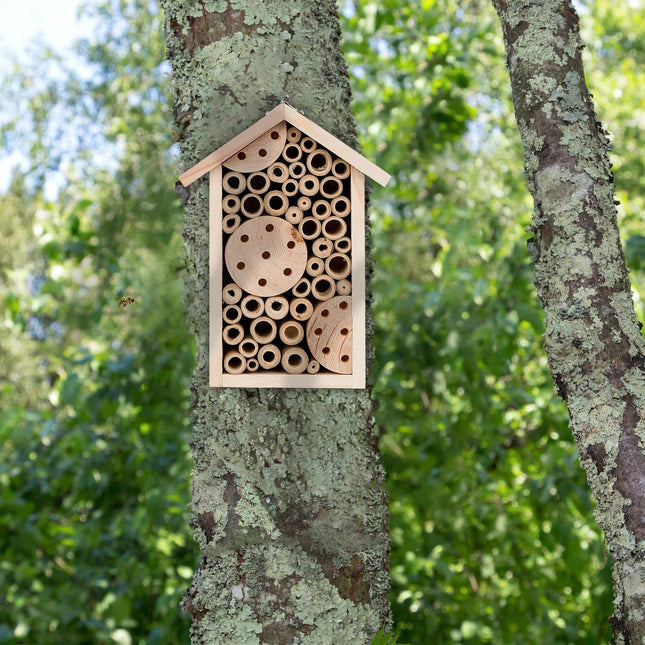 Hôtel à abeilles avec tubes en bambou