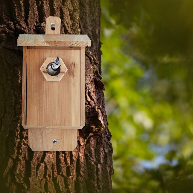 Vogelhaus Holz