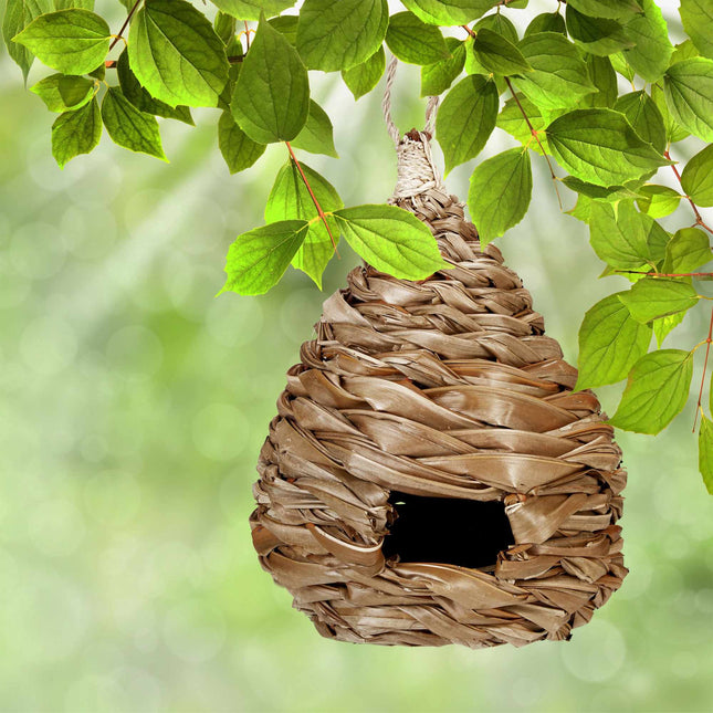 Vogelnester in verschiedenen Ausführungen