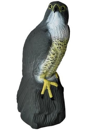 Vogelabwehr - Falke