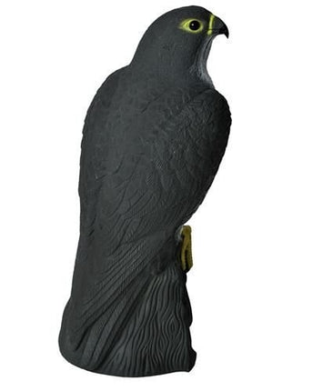 Vogelabwehr - Falke