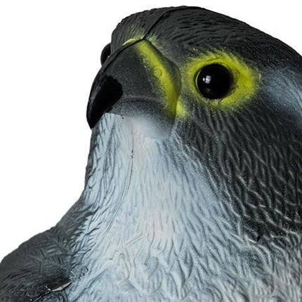 Vogelabwehr - Falke