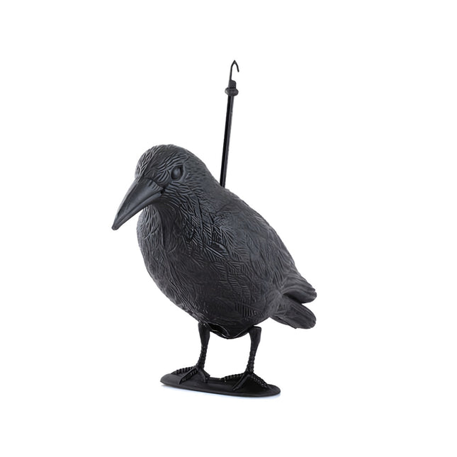 Répulsif d'oiseaux - corbeau