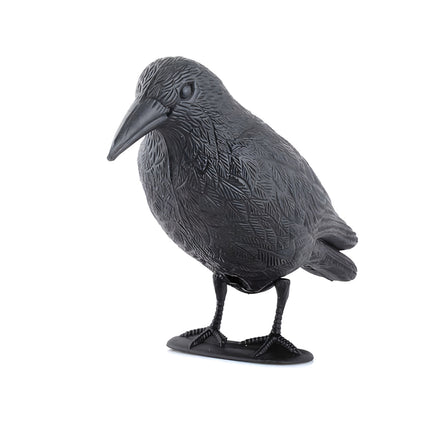 Répulsif d'oiseaux - corbeau