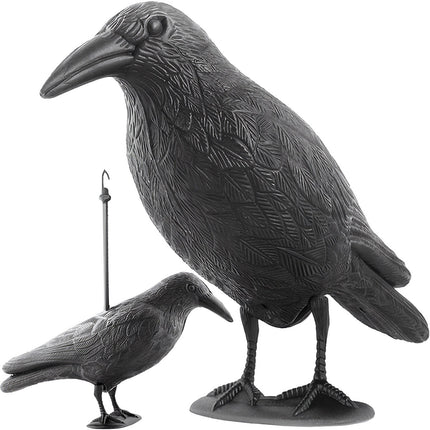 Répulsif d'oiseaux - corbeau