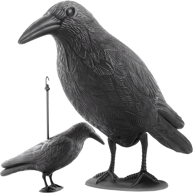 Répulsif d'oiseaux - corbeau