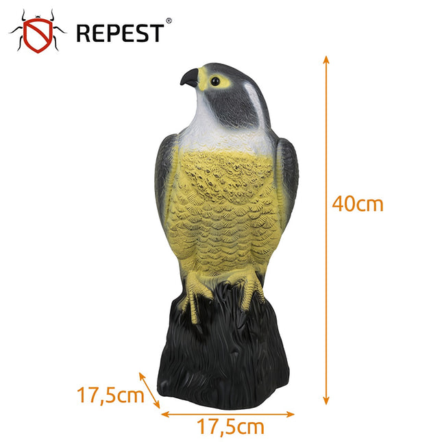 Effaroucheur d'oiseaux - faucon 23421